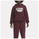 Reebok Γυναικείο φούτερ CL AE Big Logo FT Hoodie